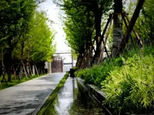 临湖别墅 观景视野好 小区环境优 万科物业