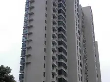 电梯顶复 有20平大露台 户型方正