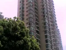 电梯顶复 有20平大露台 户型方正