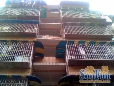 杨家坪冶金四村二房800元/月