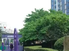 格局好,楼层好,住家装修,无浪费空间,安静采光好