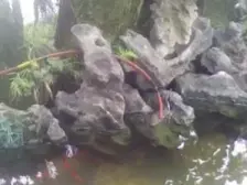 带屋顶花园 低总价大三房 出较方便