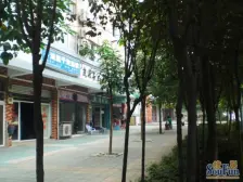 带屋顶花园 低总价大三房 出较方便