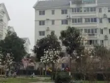 飞机户型大3房+文化广场+得房率高