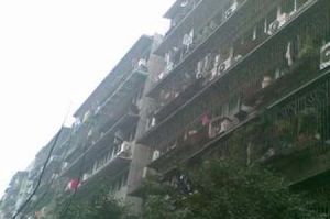 东风路北一巷1号3室1厅南