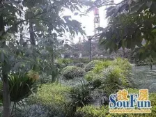 小区位于江陵江畔 户型方正 精装修 朝中庭