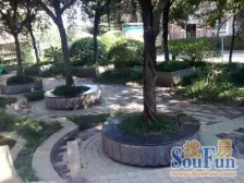 大坪 立源地三房126万