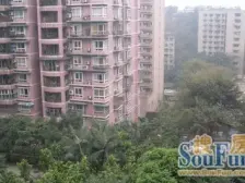 立源地 3室2厅 东南 西南