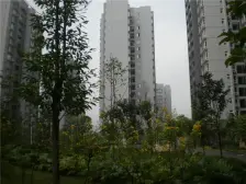 单价低!近18号线+西城天街杨家坪步行街