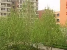 安心卖 拎包入住 看房提前联系 业主诚心