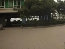 沙龙广场 3室2厅 西南