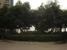 沙龙广场 2室2厅 西南