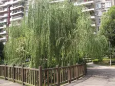 南桥寺 光华南桥人家花园五房253万