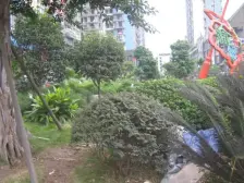 杨家坪 重啤花园三房100万