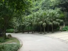 顶跃+屋顶花园+看公园+南北通+有电梯通车库+证在手
