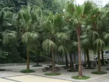 大石坝 山水家园三房