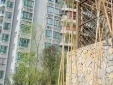 陈家坪 华宇大厦四房70万