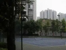 大坪 凌云阁二房130万