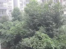 楼梯两房,住家环境安静,配套都成熟