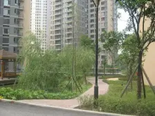 七星岗轻轨一号出口 采光好 住家安静 出行方便