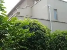 浦东康桥半岛低密度别墅+大花园醇熟社区+免费双车位值得入手