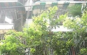 横四道街8号2室1厅东南