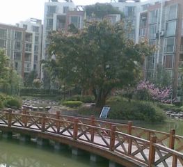 宗申流溪别院3室2厅南北