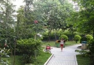 川大与文里3室2厅南