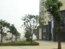 城南旁边大三室电梯房,出脚方便看房方便,业主急售