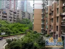 石坪桥 石坪桥正街、横街片区三房40万