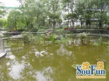 加州新牌坊 邮政绿苑三房105万