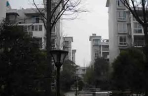兴城丽景4室2厅东南