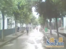 九龙花园二小区 2室1厅 西南