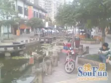 黄桷坪九龙花园标准四房!!!!