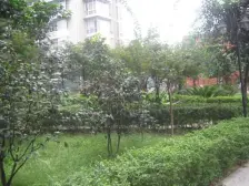 杨家坪装修三房,楼层采光俱佳,出行方便