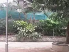 渝中区地带三房,低楼层,采光良好