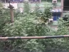 两路口地铁站文化宫旁 电梯房 采光好上下两层一起出售