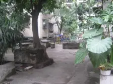 红育坡带治标交通方便业主安心卖
