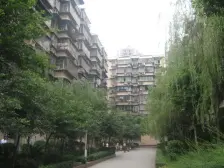 大礼堂广场 学田湾车站 户型方正 采光好