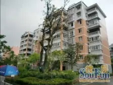 中医院旁电梯清水大平层!业主安心出售!价格可谈