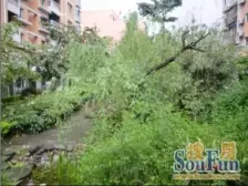 城南新区 兰庭花园四房86万