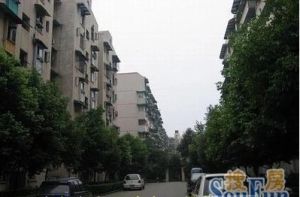 玉通巷3号2室1厅西南西南