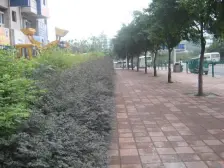 毛线沟 碧景园小区三房116万