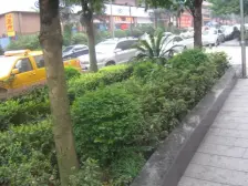 石桥铺 渝高B座 出门公交地铁 交通便利