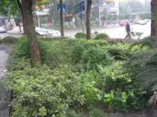 石桥铺 渝高B座 出门公交地铁 交通便利