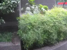 石桥铺 渝高B座 出门公交地铁 交通便利