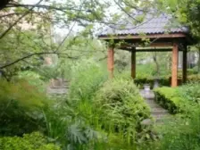 中医院边兰庭花园大平层可以拎包入住