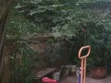 人和街子标,采光好,出行方便,,楼层好,看房方便