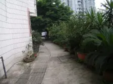 双山 秋实花园三房70万