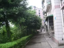 轻轨房2号线平安站,客厅6米挑空 一梯两户顶跃层